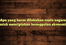 Apa yang harus dilakukan suatu negara untuk menciptakan keunggulan ekonomi?
