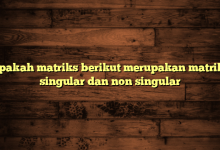 Apakah matriks berikut merupakan matriks singular dan non singular