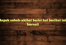 Aspek sebab-akibat berisi hal berikut ini, kecuali
