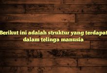 Berikut ini adalah struktur yang terdapat dalam telinga manusia