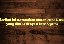 Berikut ini merupakan nomor surat dinas yang ditulis dengan benar, yaitu