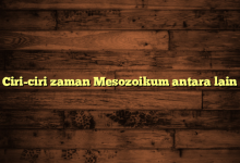 Ciri-ciri zaman Mesozoikum antara lain