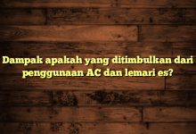 Dampak apakah yang ditimbulkan dari penggunaan AC dan lemari es?