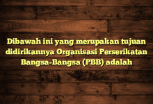 Dibawah ini yang merupakan tujuan didirikannya Organisasi Perserikatan Bangsa-Bangsa (PBB) adalah