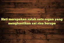 Hati merupakan salah satu organ yang menghasilkan zat sisa berupa