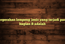 Pergerakan lempeng jenis yang terjadi pada bagian B adalah