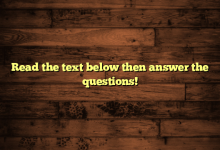 Read the text below then answer the questions!