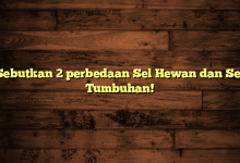 Sebutkan 2 perbedaan Sel Hewan dan Sel Tumbuhan!