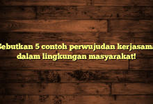 Sebutkan 5 contoh perwujudan kerjasama dalam lingkungan masyarakat!