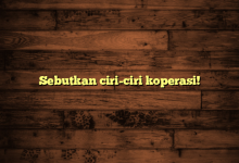 Sebutkan ciri-ciri koperasi!
