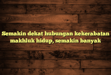Semakin dekat hubungan kekerabatan makhluk hidup, semakin banyak