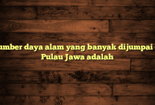 Sumber daya alam yang banyak dijumpai di Pulau Jawa adalah