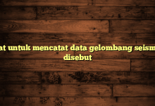 alat untuk mencatat data gelombang seismik disebut