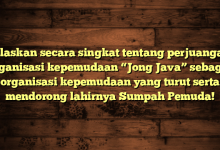 Jelaskan secara singkat tentang perjuangan organisasi kepemudaan “Jong Java” sebagai organisasi kepemudaan yang turut serta mendorong lahirnya Sumpah Pemuda!