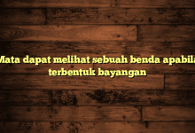 Mata dapat melihat sebuah benda apabila terbentuk bayangan