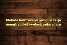 Metode kontrasepsi yang bekerja menghambat ovulasi, antara lain