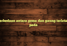 Perbedaan antara gema dan gaung terletak pada
