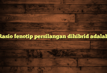 Rasio fenotip persilangan dihibrid adalah