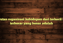 Urutan organisasi kehidupan dari terkecil ke terbesar yang benar adalah