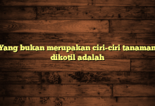 Yang bukan merupakan ciri-ciri tanaman dikotil adalah